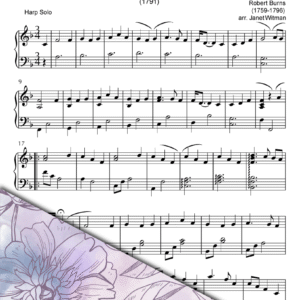 Ye Banks and Braes (Harp Solo) - Brandywine Harps